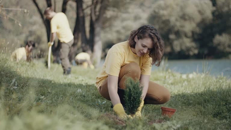 Best Lawn Irrigation Installation and Maintenance  in Enterprise, UT